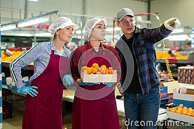 Fruit sorting factory workers hold boxes of fresh ripe tangerines in their hands. Stock Photo