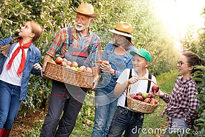 We work together on our apple plantation Stock Photo