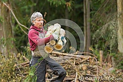 Worker carrying firewood rounds Stock Photo