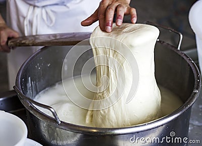 Worker from cheese factory producing mozzarella. Stock Photo