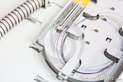 Worker comunicate fiber optic cable at opto box. installing new network equipment Stock Photo