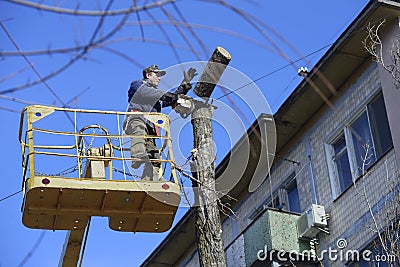 Worker cutting dead standing tree with chainsaw using truck-mounted lift Editorial Stock Photo