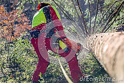 Worker felling the tree with chainsaw Stock Photo