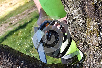 Worker in the garden with a chainsaw. Stock Photo