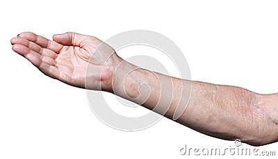 Worker hand with by cupped palm Stock Photo