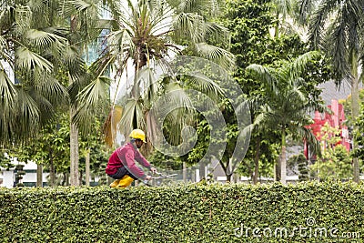 Worker in Kuala Lumpur cutting green fence Editorial Stock Photo