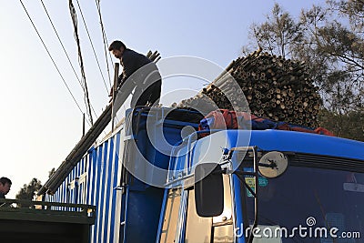 Worker move bamboo pole on the truck Editorial Stock Photo