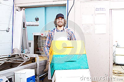 Worker moving beehives Stock Photo