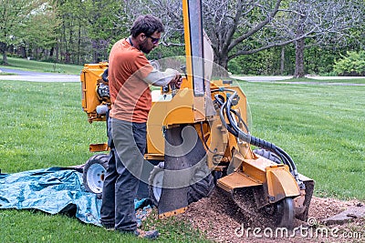 Worker operating a stump grinder Stock Photo