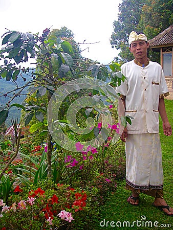 Worker in a plantation of coffee in Bali Editorial Stock Photo