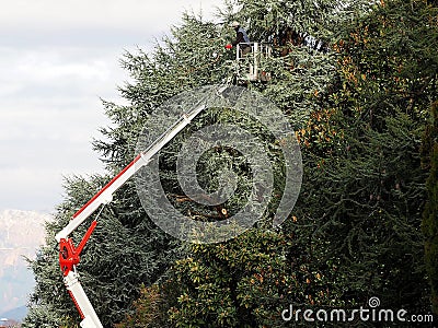 A worker prunes high trees from an aerial platform in a cold sunny winter day Editorial Stock Photo