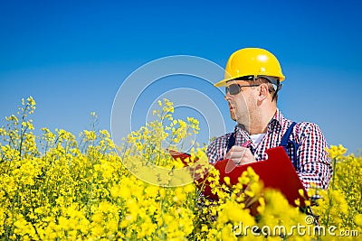 Worker in a rapeseed field doing inspection for biodiesel production Stock Photo