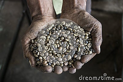Coffee beans with hands Stock Photo