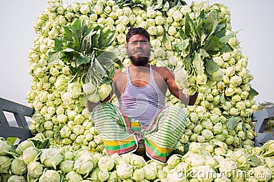 A worker is showing best fresh turnips at Savar, Dhaka, Bangladesh Editorial Stock Photo