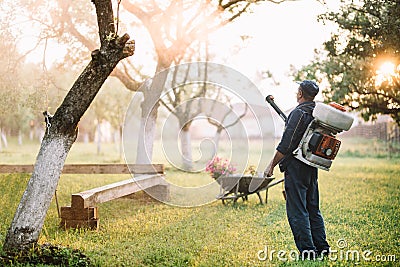 worker spraying organic pesticides for garden treatment Stock Photo