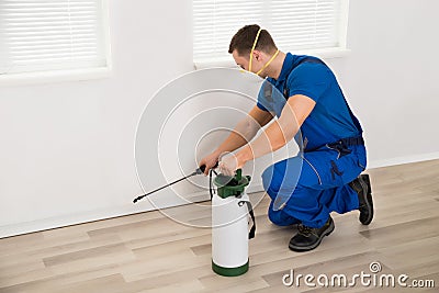 Worker Spraying Pesticide On Wall At Home Stock Photo