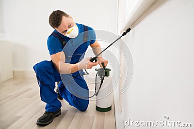 Worker Spraying Pesticide On Window Corner Stock Photo