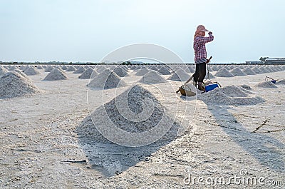 Worker standing at salt field that has pile of sea salt. Editorial Stock Photo