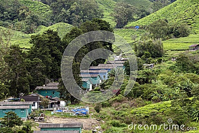 Workers` accomodation on the Sungai Palas Boh Tea Estate in the Cameron Highlands, Malaysia. Stock Photo