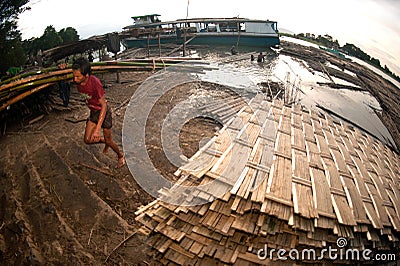 Workers ashore carrying bamboo. Editorial Stock Photo