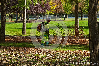 Workers Clearing Autumn Leaves on a Park Stock Photo