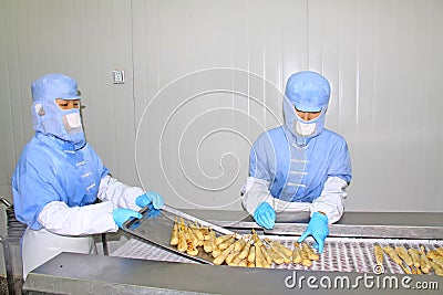 Workers in the food processing production line Editorial Stock Photo