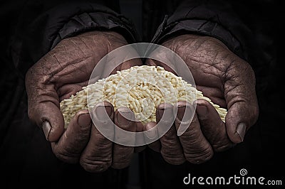 Workers hand carry rice Stock Photo