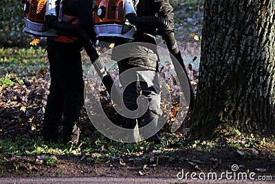 workers with industrial vacuum cleaners collect fallen maple and oak leaves in a heap Stock Photo