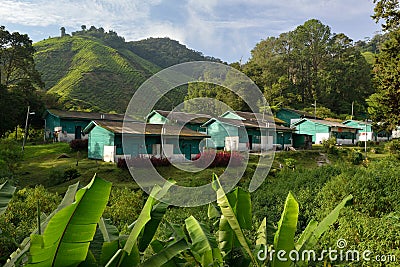 Workers Quarters at Boh Plantation Editorial Stock Photo