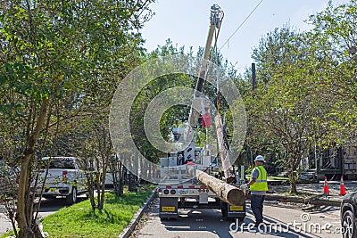 Workers Replacing Damaged Utility Poles after Hurricane Zeta Editorial Stock Photo