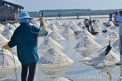 Workers in salt farming Thailand Editorial Stock Photo