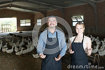 Workers standing among white gooses Stock Photo