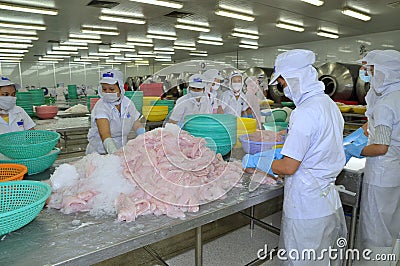 Workers are testing the color of pangasius fish in a seafood processing plant in Tien Giang, a province in the Mekong delta of Vie Editorial Stock Photo