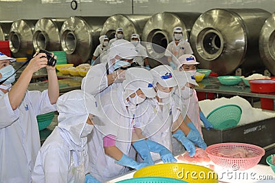 Workers are testing the color of pangasius fish in a seafood processing plant in Tien Giang, a province in the Mekong delta of Vie Editorial Stock Photo