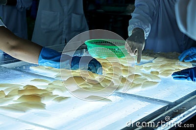 Workers are testing the color of squids for exporting in a seafood factory in Vietnam Editorial Stock Photo