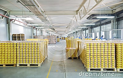 Workers in warehouse Editorial Stock Photo