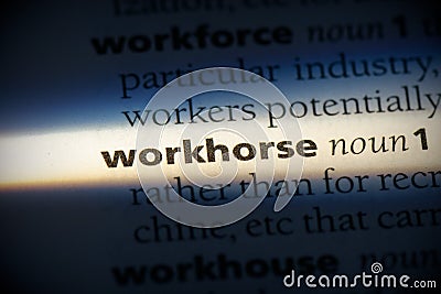 Workhorse Stock Photo