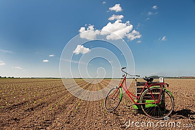 Working in agriculture fields Stock Photo