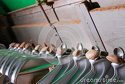 The working of almonds Stock Photo