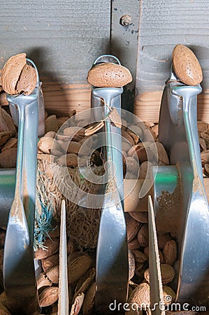 The working of almonds Stock Photo