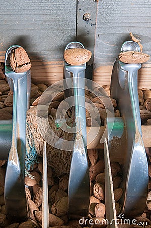 The working of almonds Stock Photo