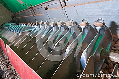 The working of almonds Stock Photo