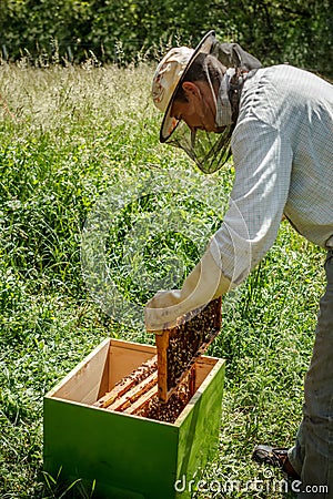 Working apiarist Stock Photo