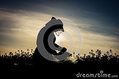 Working apiarist silhouette Stock Photo