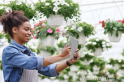 Working with digital technology in greenhouses with flowers. African american and farm worker girl with tablet Stock Photo
