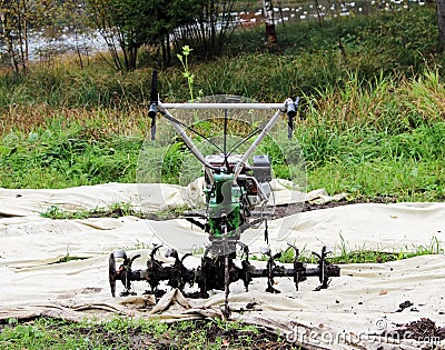 working motor-cultivator tiller in Gatchina park is on the ground waiting for work. Stock Photo