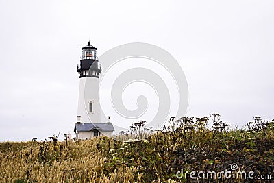 Working powerful lighthouse on high hill covered grass wild flow Stock Photo