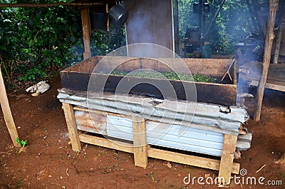 Working process steaming dried or pan firing tea leaves at Bolaven Plateau Stock Photo