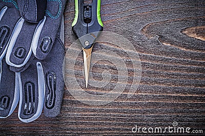Working safety gloves clippers on wood board gardening concept Stock Photo