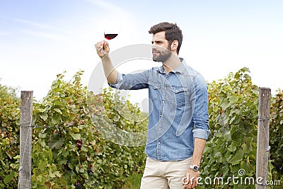 Working at vineyard Stock Photo